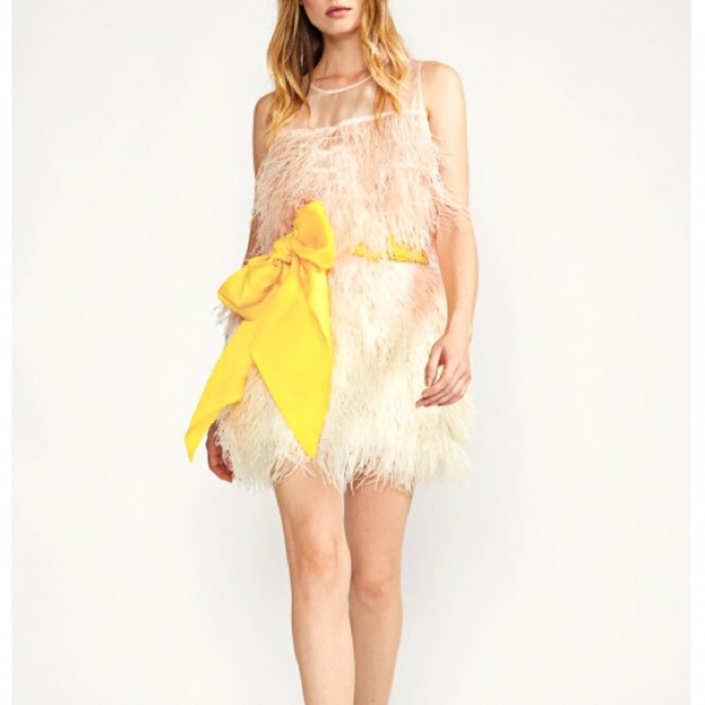 Cynthia rowley kitty feather party dress